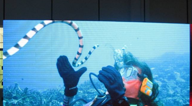 美股四次熔斷，會(huì)對(duì)室內(nèi)全彩led顯示屏行業(yè)造成怎樣的影響呢